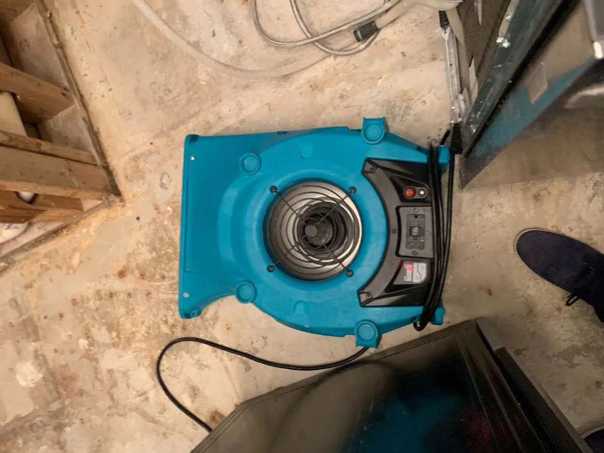 Air mover drying equipment for Mold Remediation & Removal in San Carlos